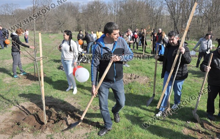 Алеята на новия живот порасна с още над 100 дървета