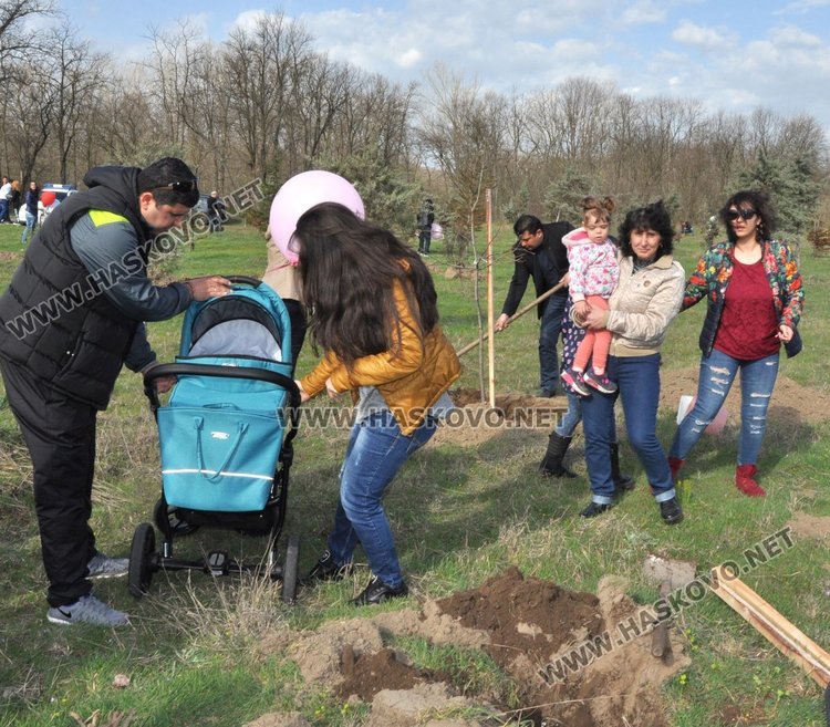 Алеята на новия живот порасна с още над 100 дървета