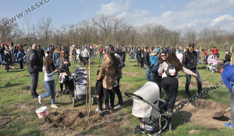 Алеята на новия живот порасна с още над 100 дървета