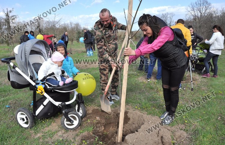 Алеята на новия живот в парк "Марица" посарсна с още 100 дръвчета