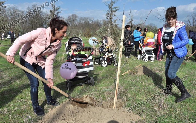 Алеята на новия живот порасна с още над 100 дървета
