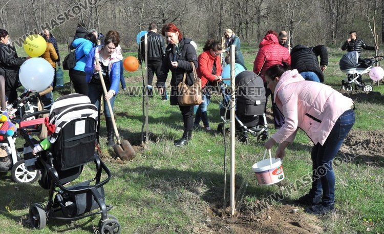 Алеята на новия живот порасна с още над 100 дървета