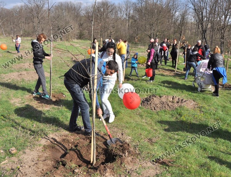 Алеята на новия живот порасна с още над 100 дървета