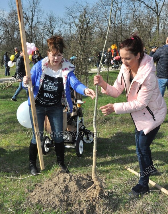 Алеята на новия живот порасна с още над 100 дървета