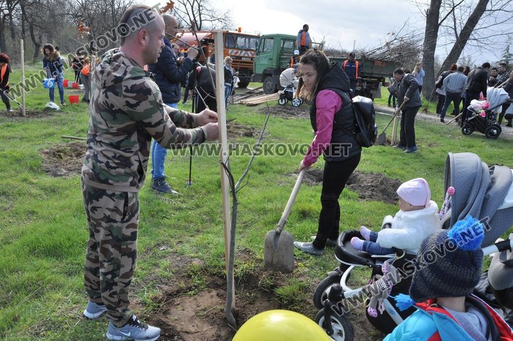 Алеята на новия живот порасна с още над 100 дървета