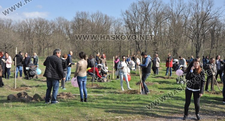 Алеята на новия живот порасна с още над 100 дървета