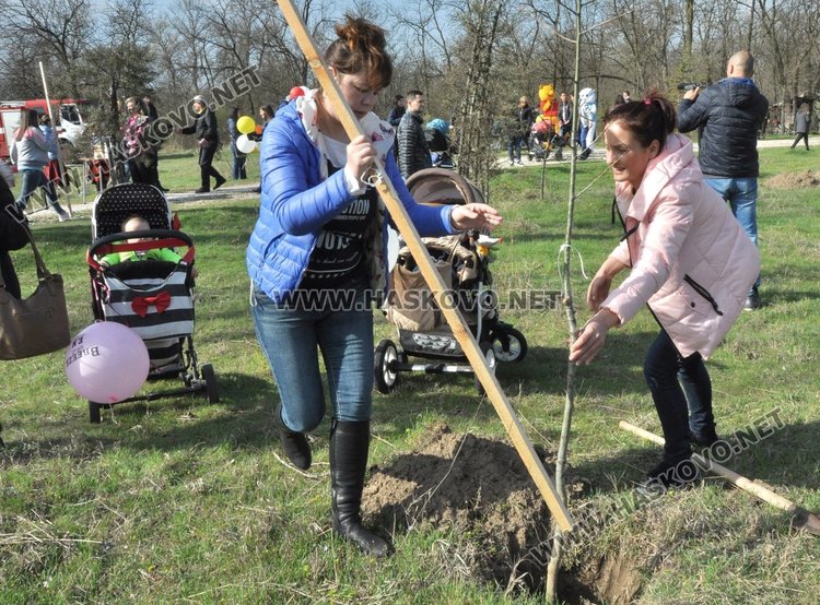 Алеята на новия живот порасна с още над 100 дървета