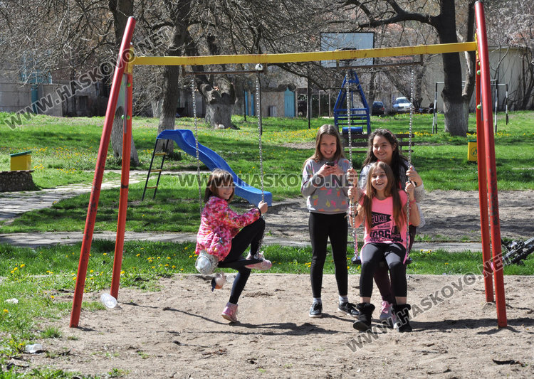 Читатели: Кучетата в парковете колкото хората. Общината: Трима стопани са глобени 
