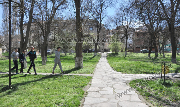 Читатели: Кучетата в парковете колкото хората. Общината: Трима стопани са глобени 