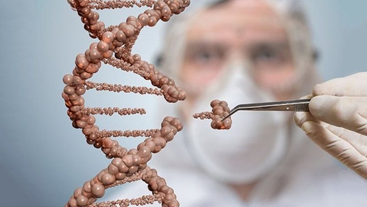 Притеснително изследване за метода CRISPR беше оттеглено като невярно