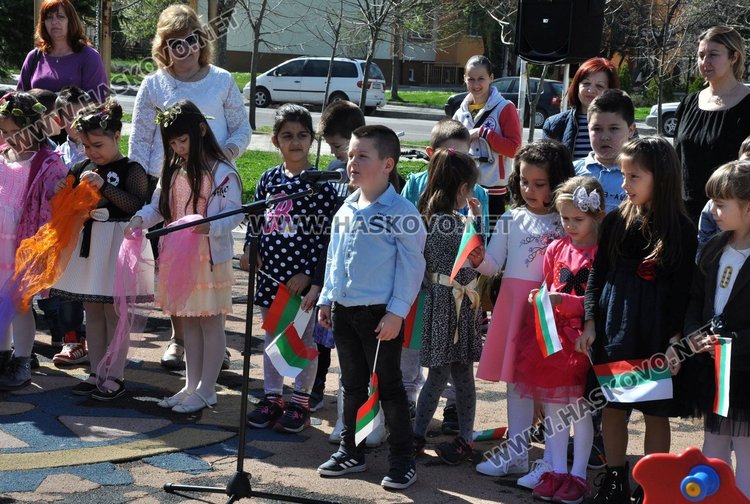 Засадиха чинари на детска площадка в Димитровград