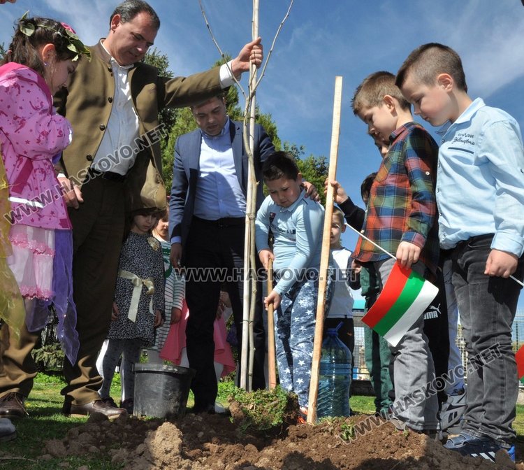 Засадиха чинари на детска площадка в Димитровград