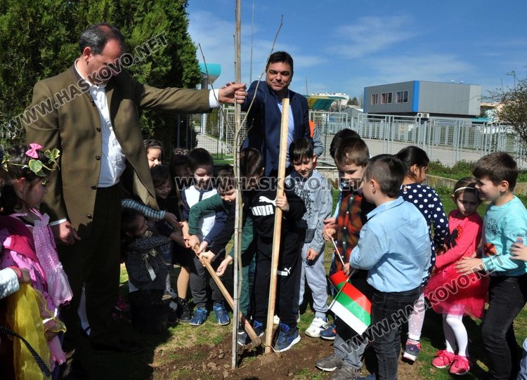 Засадиха чинари на детска площадка в Димитровград