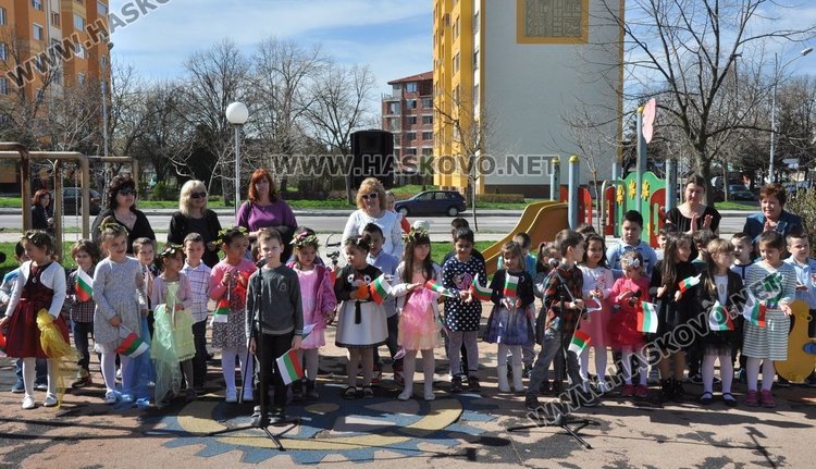 Засадиха чинари на детска площадка в Димитровград