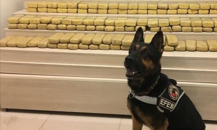 Откриха 9 кг кокаин в български ТИР