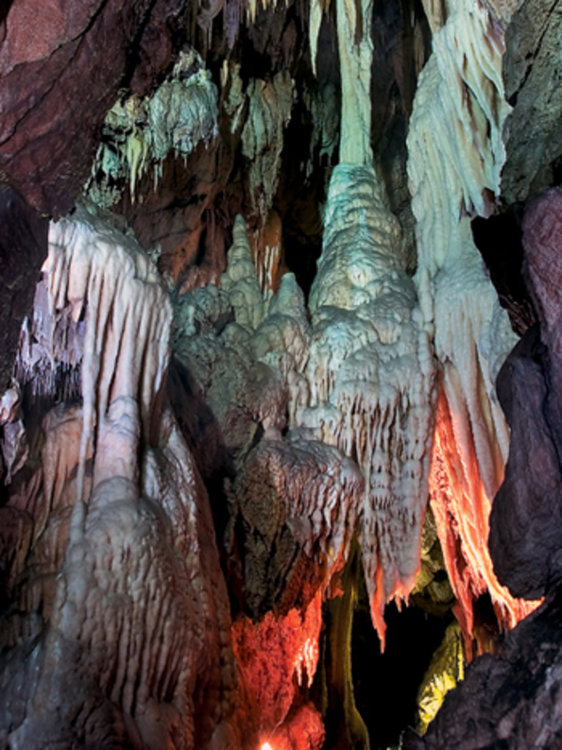В Ягодинската пещера има общо 22 вида образувания от световно известни 28 вида