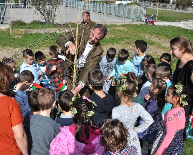 Засадиха чинари на детска площадка в Димитровград