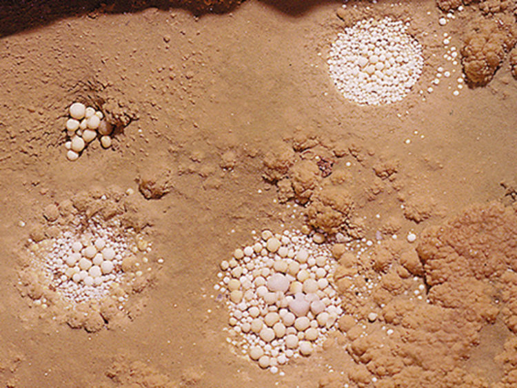 Тук се намират и изключително редките "пещерни перли"