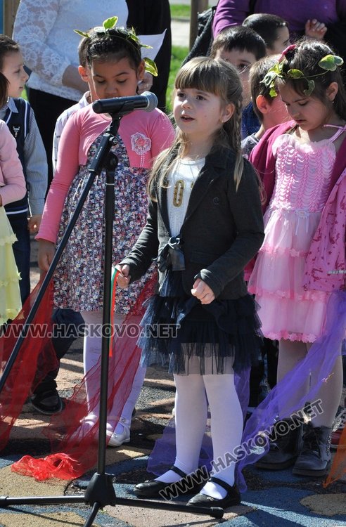 Засадиха чинари на детска площадка в Димитровград