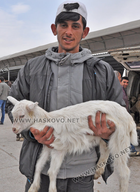 На Велика събота оживление на пазара за агнета