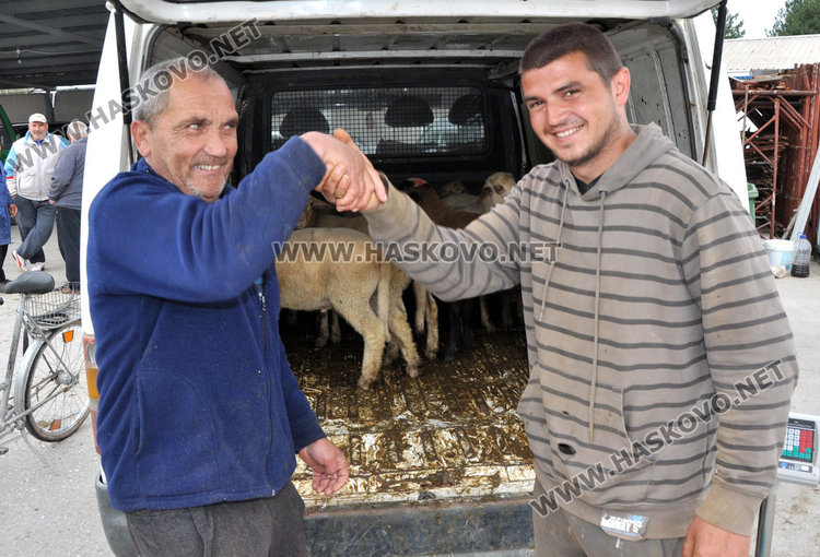 На Велика събота оживление на пазара за агнета