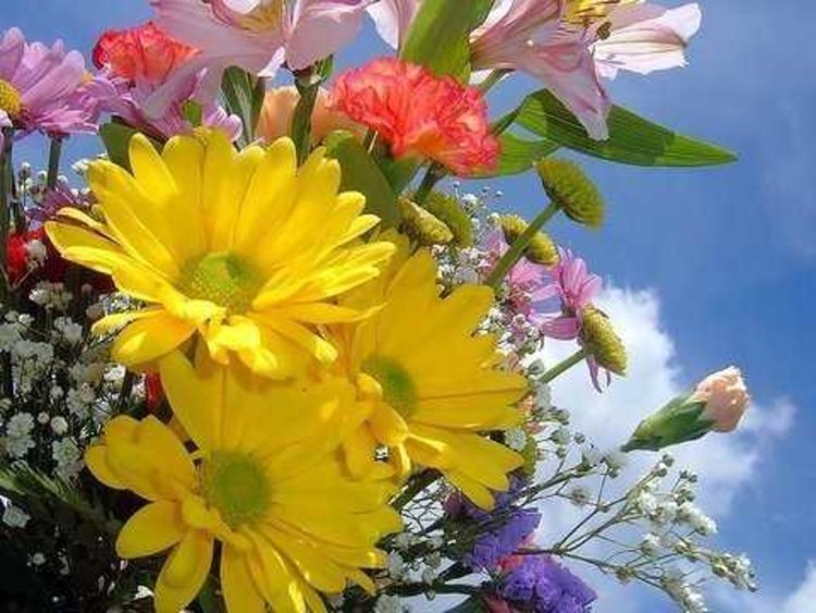 Облачна и по-хладна събота