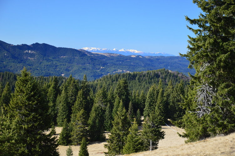 Ясна и слънчева неделя, термометърът ще гони 20 градуса