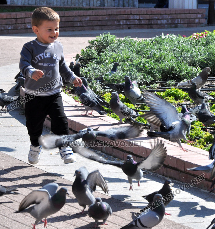 Хасковлии излязоха по парковете на 22 градуса, затоплянето продължава и утре
