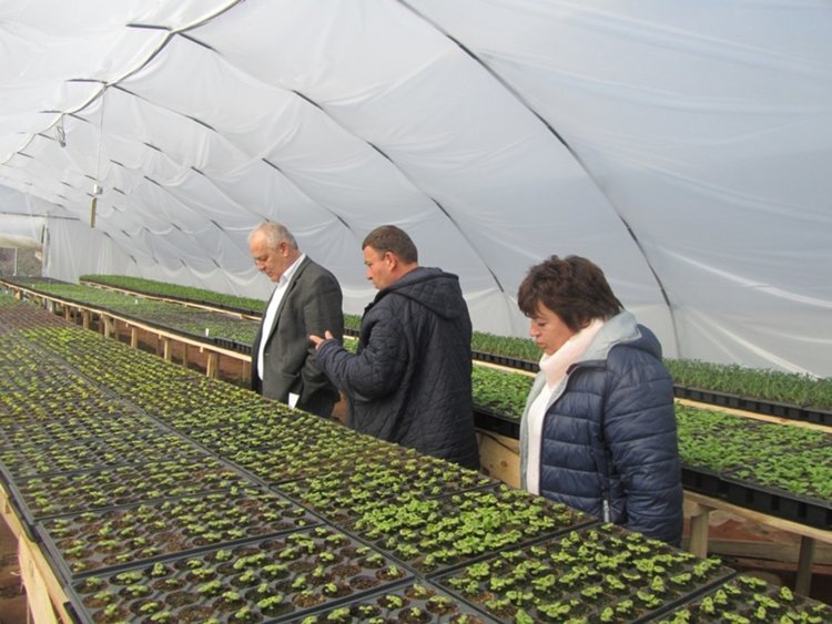 Община Смолян произвежда цветя и храсти за градските градини и пространства