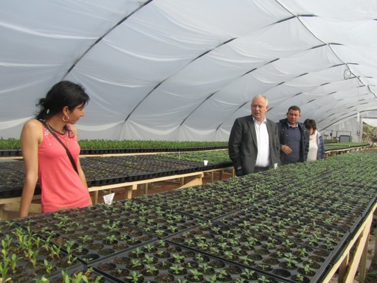 Община Смолян произвежда цветя и храсти за градските градини и пространства