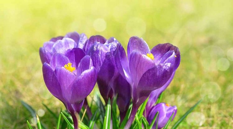 Слънце и малко облаци във вторник, остава топло