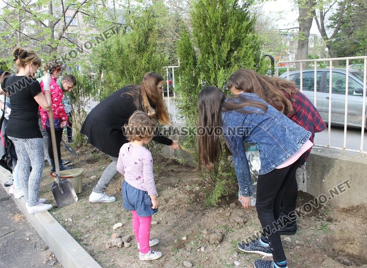 Залесиха двора на СУ "Любен Каравелов" с 60 дръвчета