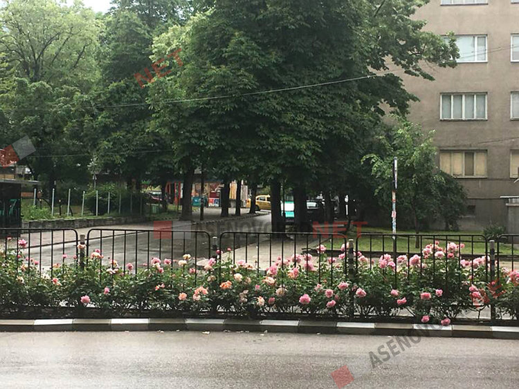 Започва машинното миене на улици в Асеновград