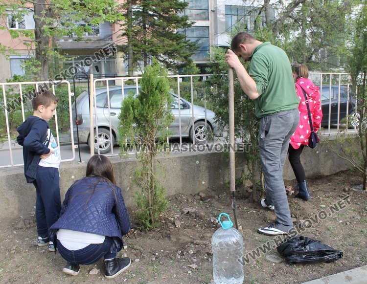 Залесиха двора на СУ "Любен Каравелов" с 60 дръвчета