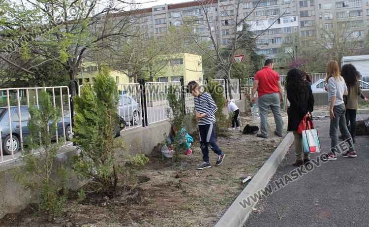 Залесиха двора на СУ "Любен Каравелов" с 60 дръвчета