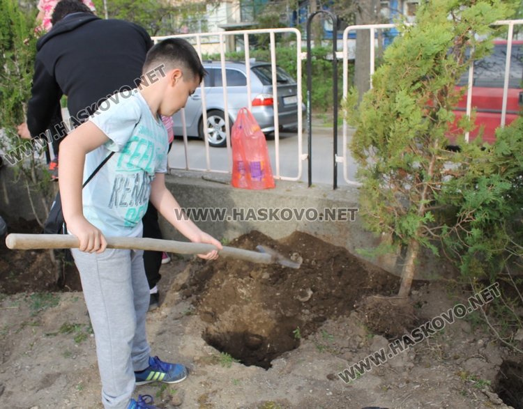 Залесиха двора на СУ "Любен Каравелов" с 60 дръвчета