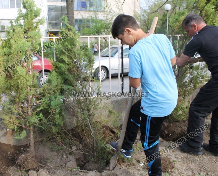 Залесиха двора на СУ "Любен Каравелов" с 60 дръвчета