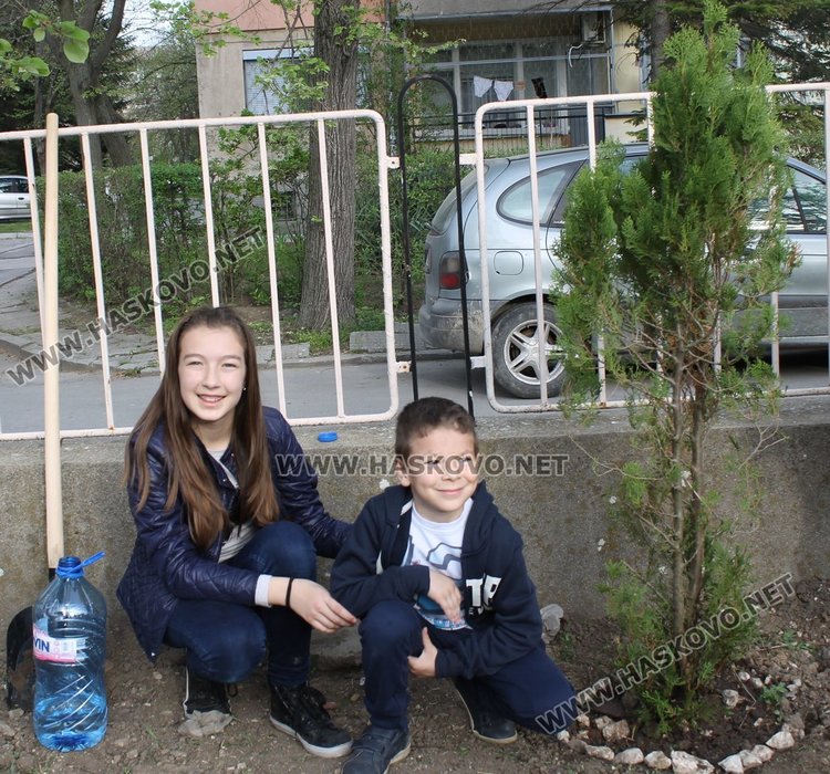 Залесиха двора на СУ "Любен Каравелов" с 60 дръвчета