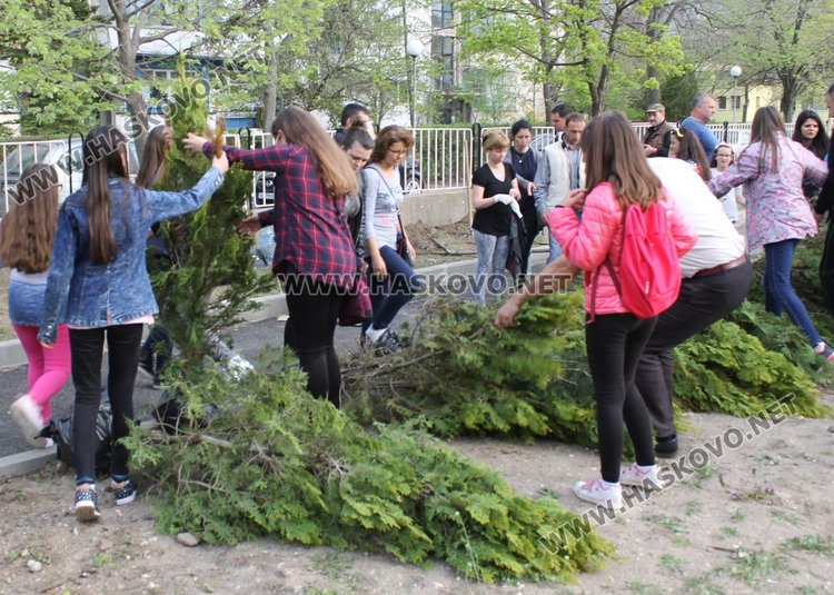 Залесиха двора на СУ "Любен Каравелов" с 60 дръвчета