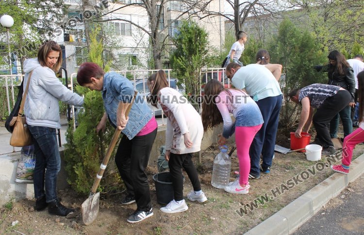 Залесиха двора на СУ "Любен Каравелов" с 60 дръвчета