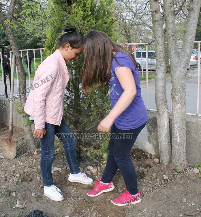 Залесиха двора на СУ "Любен Каравелов" с 60 дръвчета