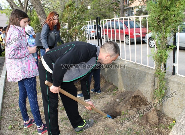 Залесиха двора на СУ "Любен Каравелов" с 60 дръвчета