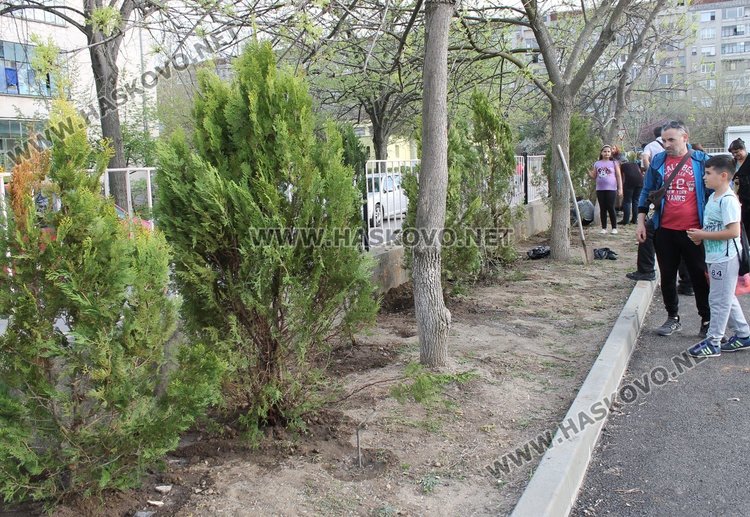 Залесиха двора на СУ "Любен Каравелов" с 60 дръвчета