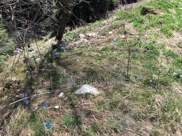 Възмутени смолянчани: Чешмата с най-вкусната вода е заобиколена от боклуци