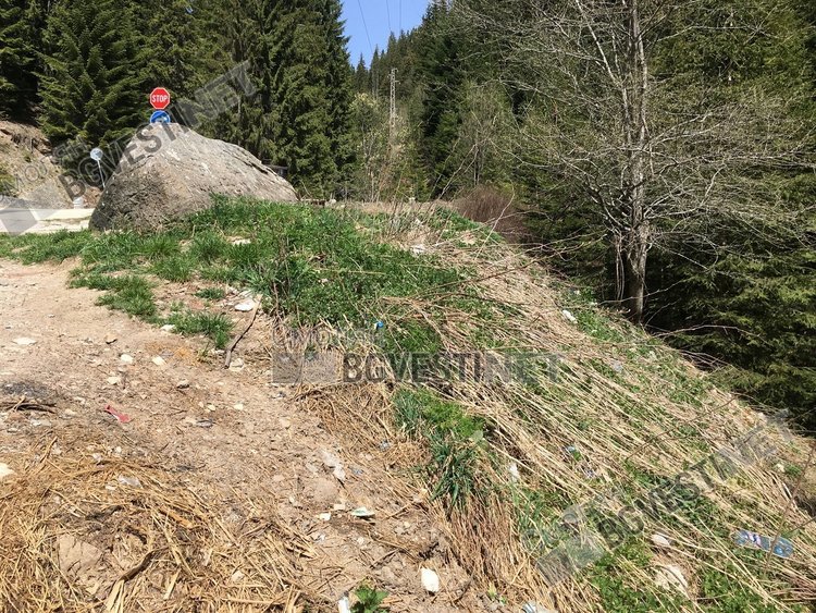 Възмутени смолянчани: Чешмата с най-вкусната вода е заобиколена от боклуци