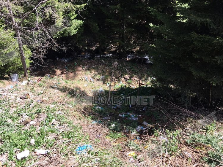 Възмутени смолянчани: Чешмата с най-вкусната вода е заобиколена от боклуци