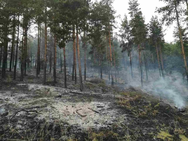 102 пожара и четирима загинали в областта от началото на годината