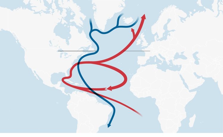 Гълфстрийм отслабнал рекордно, все по-сурови зими