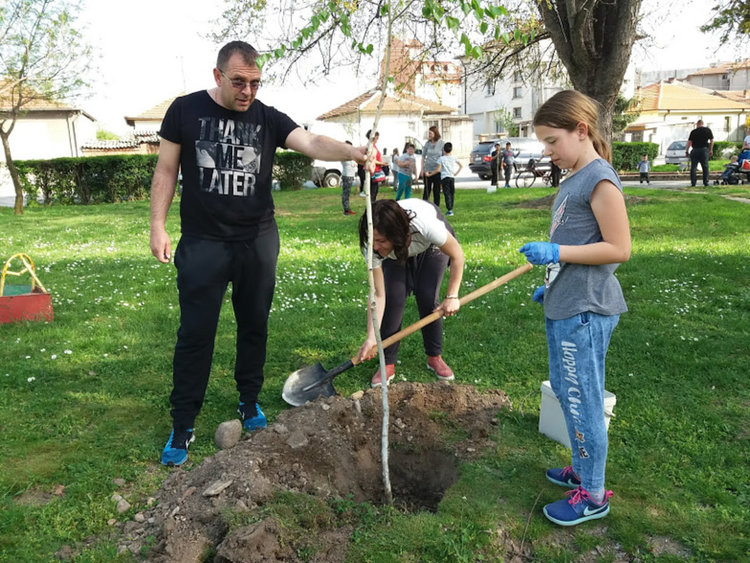 Четвъртокласници засадиха дръвчета в парка