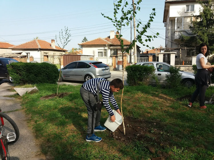 Четвъртокласници засадиха дръвчета в парка